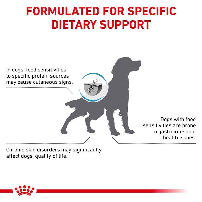 غذای خشک سگ رویال کنین Royal Canin مدل آن‌آلرژنیک Anallergenic وزن 3 کیلوگرم