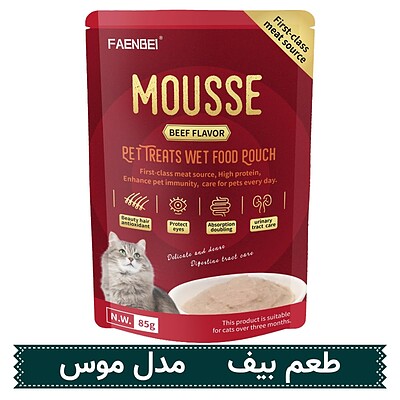 موس گربه فنبی Faenbei طعم بیف وزن 85 گرم