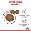 غذای خشک گربه رویال کنین royal canin مدل دنتال کر Dental Care وزن 8 کیلوگرم