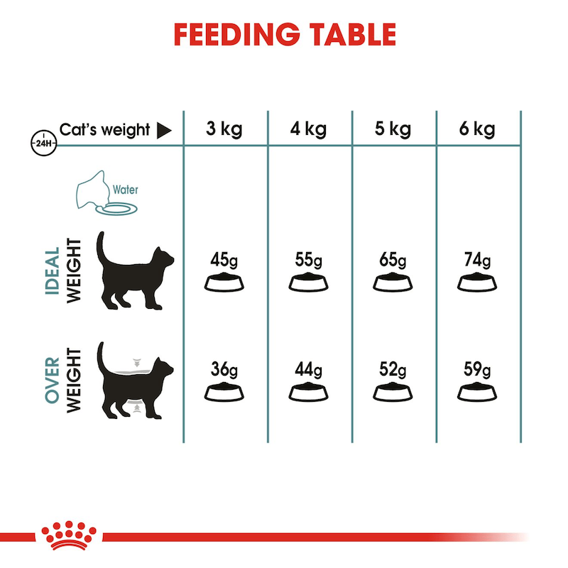 رویال کنین | غذای خشک گربه رویال کنین هربال کر Royal Canin Hairball Care وزن 4 کیلوگرم