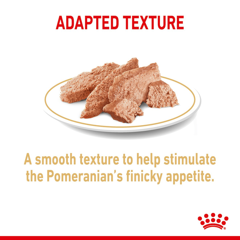 غذای پوچ سگ رویال کنین Royal Canin مدل پامرانین Pomeranian وزن 85 گرم