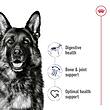 پوچ سگ رویال کنین Royal Canin مدل مکسی ادالت Maxi Adult وزن 140 گرم