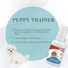 قطره آموزش محل ادرار توله سگ بایولاین Bioline Puppy Training وزن 50 میلی لیتر