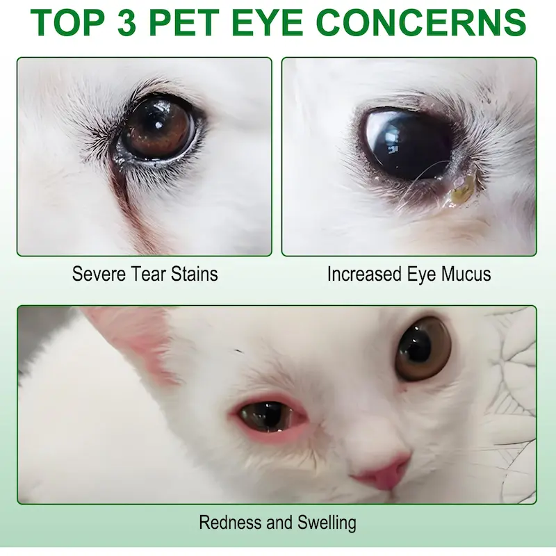 پد پاک کننده چشم سگ و گربه اویمال Oimmal Hypoallergenic Pet Eye Wipes تعداد 150 عددی
