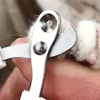 قیچی ناخنگیر گربه و سگ Pet Nail Clipper