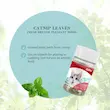 پودر کت نیپ گربه بایولاین Bioline Catnip وزن 30 گرم