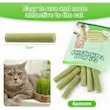 تشویقی علف گربه کت گرس Cat Grass Teething Stick وزن 30 گرم