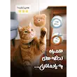 اسباب بازی گربه ژوانیت Juanit مدل خرسی