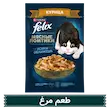 غذای تر،پوچ،گربه،فلیکس،مرغ