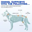 قطره سلامت مفصل و ران سگ اویمال Oimmal Joint Aid Relief وزن 60 میلی لیتر