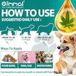 روغن شاهدانه آرامبخش اویمال Oimmal مخصوص سگ و گربه وزن 60 میلی لیتر