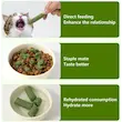 تشویقی علف گربه کت گرس Pet Snacks CatGrass Sticks بسته 6 عددی