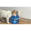 ظرف آبخوری سگ و گربه هوشمند Pet Drinking Fountain گنجایش 2 لیتر