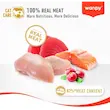 بستنی سلامت کلیه گربه ونپی Wanpy Kidney Health طعم مرغ و سبزیجات بسته 5 عددی