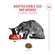 غذای خشک گربه رویال کنین مدل فاسی اگزیجنت Royal Canin Fussy Exigent وزن 2 کیلوگرم