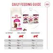 غذای خشک گربه رویال کنین مدل فاسی اگزیجنت Royal Canin Fussy Exigent وزن 2 کیلوگرم