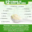 مکمل پودری پروبیوتیک سگ اویمال Oimmal Probiotics وزن 120 گرم