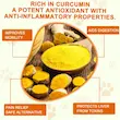 مکمل زردچوبه سگ اویمال Oimmal turmeric Curcumin حاوی 180 عدد قرص