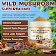 مکمل پودری ترکیب ویژه قارچ وحشی اویمال Oimmal Wild Mushroom Superblend مخصوص سگ و گربه وزن 120 گرم