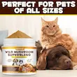 مکمل پودری ترکیب ویژه قارچ وحشی اویمال Oimmal Wild Mushroom Superblend مخصوص سگ و گربه وزن 120 گرم