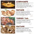 مکمل پودری ترکیب ویژه قارچ وحشی اویمال Oimmal Wild Mushroom Superblend مخصوص سگ و گربه وزن 120 گرم