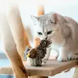 اسباب بازی گربه مدل پرنده آویزی موزیکال