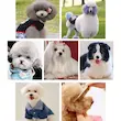قیچی پیتاژ سگ و گربه Pet Grooming Tools