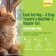 قرص علف گربه جیم کت GimCat Gras Bits وزن 50 گرم