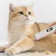 ماشین اصلاح، سگ، گربه