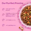 غذای خشک بچه گربه ویسکاس کیتن
