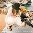 قمقمه سگ و گربه
