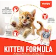 بستنی گربه کیتن ونپی
