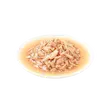 پوچ گربه ونپی