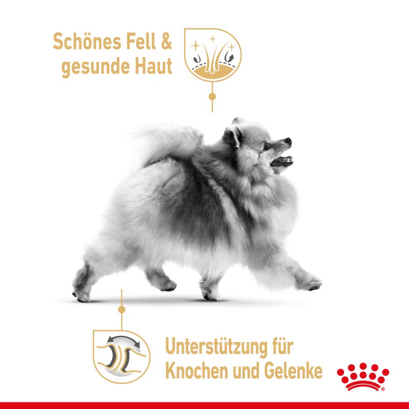 رویال کنین | غذای خشک سگ رویال کنین پامرانین ادالت Royal Canin Pomeranian Adult وزن 1.5 کیلوگرم