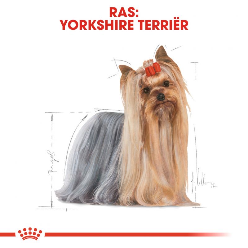 غذای خشک سگ رویال کنین مدل یورک شایر Yorkshire Adult وزن 1.5 کیلوگرم