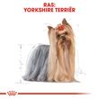 غذای خشک سگ رویال کنین مدل یورک شایر Yorkshire Adult وزن 1.5 کیلوگرم