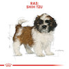 غذای خشک توله سگ رویال کنین مدل شیتزو Shih Tzu Puppy وزن 1.5 کیلوگرم