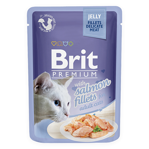 غذای پوچ گربه بریت Brit با طعم سالمون ژله ای وزن 85 گرم