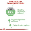 غذای خشک گربه رویال کنین مدل دایجستیو Digestive وزن 2 کیلوگرم