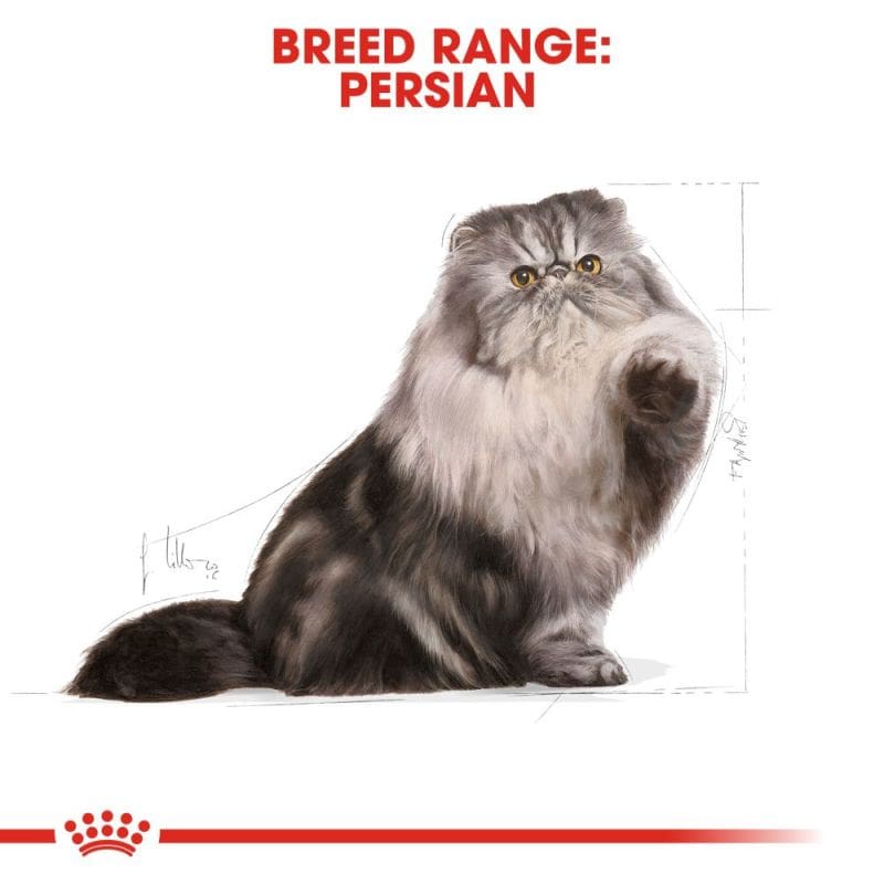 رویال کنین | غذای خشک گربه رویال کنین پرشین ادالت Royal Canin Persian Adult وزن 2 کیلوگرم