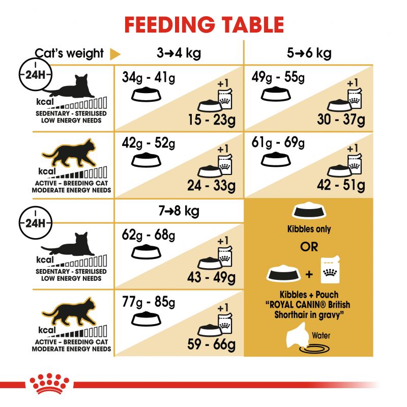 رویال کنین | غذای خشک گربه رویال کنین بریتیش ادالت Royal Canin British Shorthair Adult وزن 2 کیلوگرم