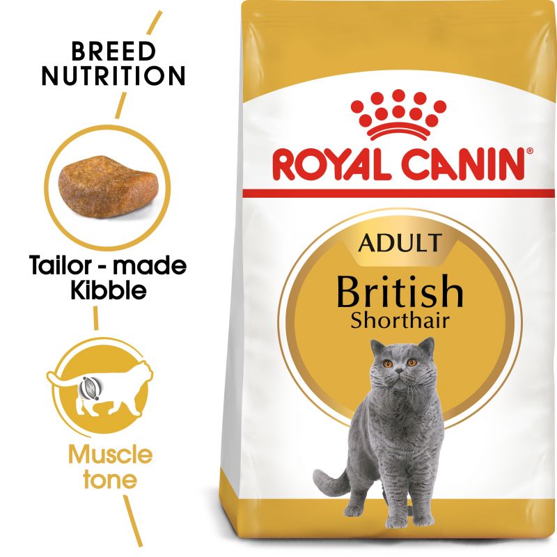 رویال کنین | غذای خشک گربه رویال کنین بریتیش ادالت Royal Canin British Shorthair Adult وزن 2 کیلوگرم