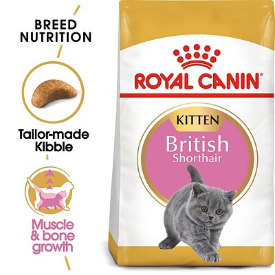 غذای خشک گربه رویال کنین مدل کیتن بریتیش Kitten British وزن 2 کیلوگرم