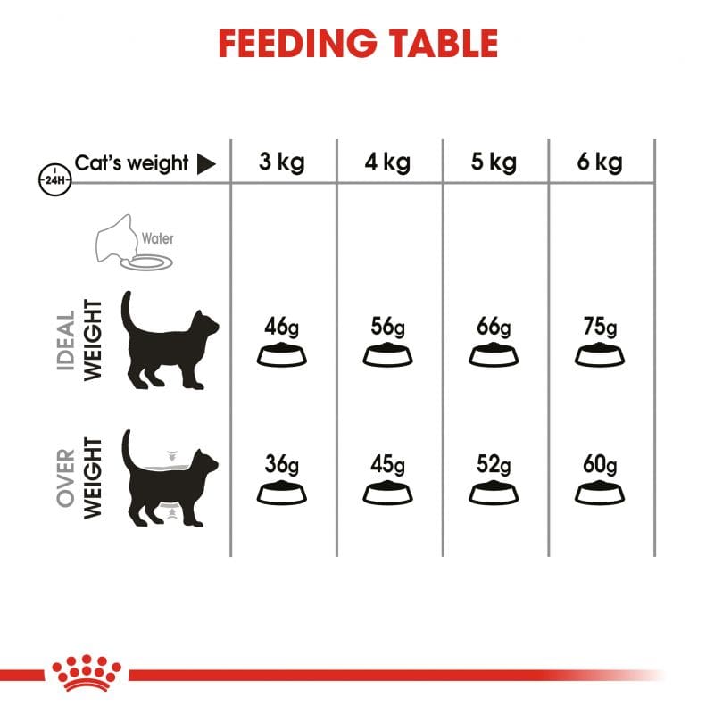رویال کنین | غذای خشک گربه رویال کنین دنتال کر Royal Canin Dental Care وزن 1.5 کیلوگرم