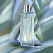 عطر مردانه آگاو پاور منزکالکشن اوریفلیم | رایحه‌ای قدرتمند و خاص