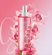 بادی میست Ruby Sheer فارماسی | رایحه یاقوت سرخ، گرم و ملایم
