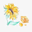 تندرکر عسل اوریفلیم