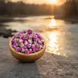 گل محمدی در طبیعت
