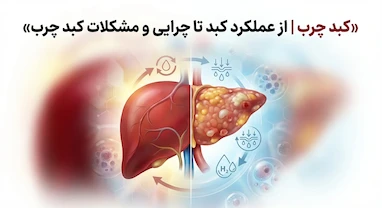 کبد چرب | از عملکرد کبد تا چرایی و مشکلات کبد چرب