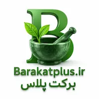 فروشگاه برکت پلاس